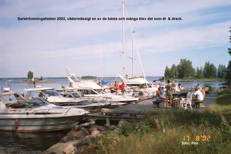 surstr02_01