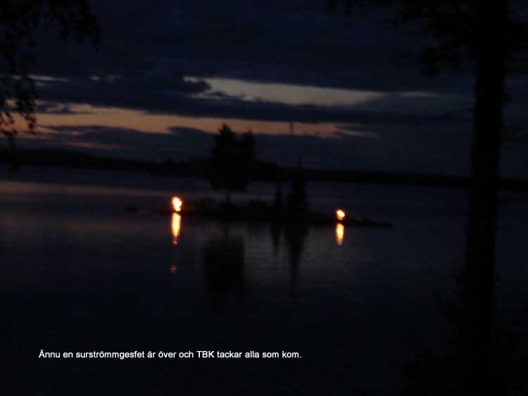Surstr_26