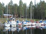 Surstr_04